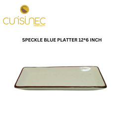 SPECKLE BLUE PLATTER 12*6" INCHES