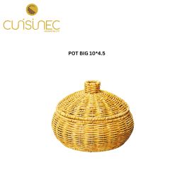POT BIG 10*4.5