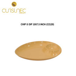 CHIP & DIP 10X7.5 INCH