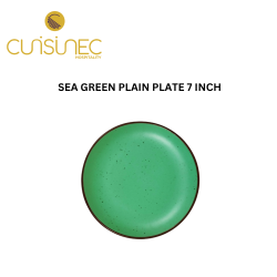 SEA GREEN PLAIN PLATE 7 INCH