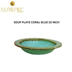SOUP PLATE CORAL BLUE 10 INCH