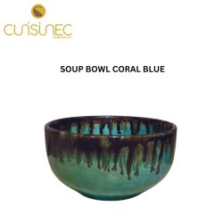 SOUP BOWL CORAL BLUE