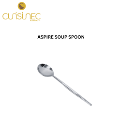 ASPIRE SOUP SPOON