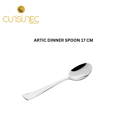 ARTIC DINNER SPOON