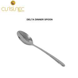 DELTA DINNER SPOON