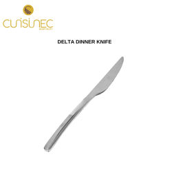 DELTA DINNER KNIFE
