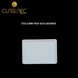 STYLO MINI TRAY 20*14 CM WHITE