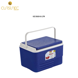 ICE BOX 6 LTR