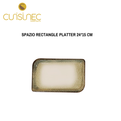 SPAZIO RECTANGLE PLATTER 24*15 CM
