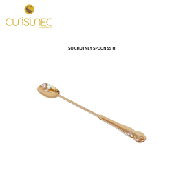 SQ CHUTNEY SPOON SS H.M