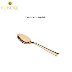 CUI FIESTA RG TEA SPOON AWK