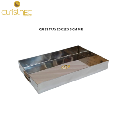 CUI SS TRAY 20 X 12 X 3 CM MIR