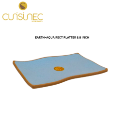 CUI EARTH+AQUA RECT PLATTER 8.8INCH DNT