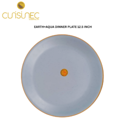 CUI EARTH+AQUA DINNER PLATE 12.5 INCH DNT