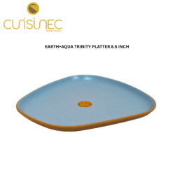 CUI EARTH+AQUA TRINITY PLATTER 8.5 INCH DNT